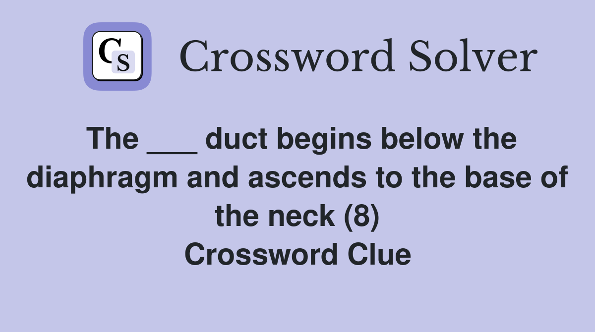 The ___ duct begins below the diaphragm and ascends to the base of the
